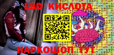 гашик Берёзовский