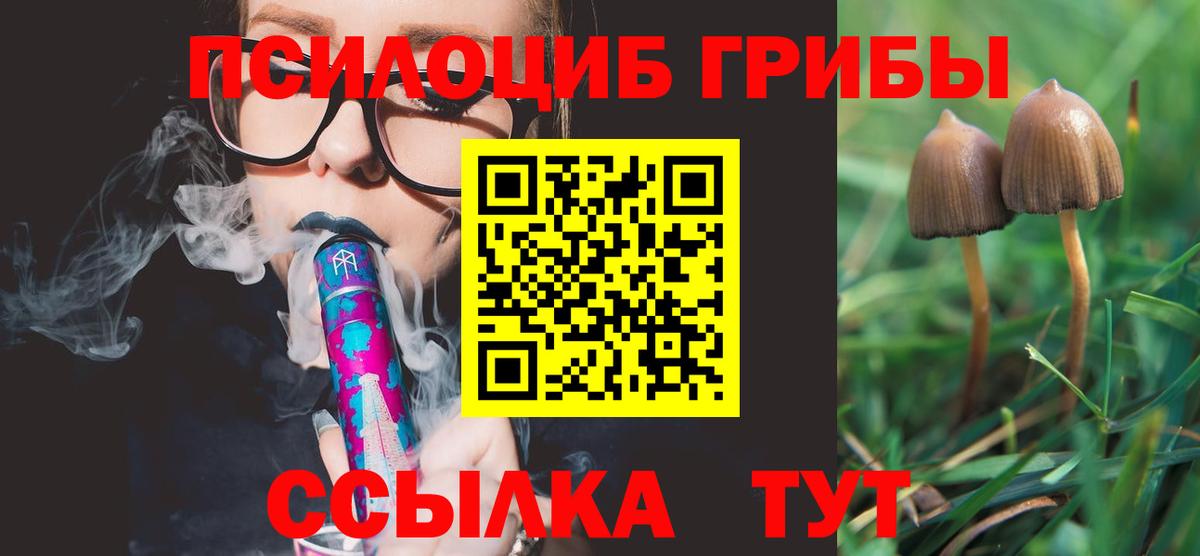 Галлюциногенные грибы мицелий Каспийск