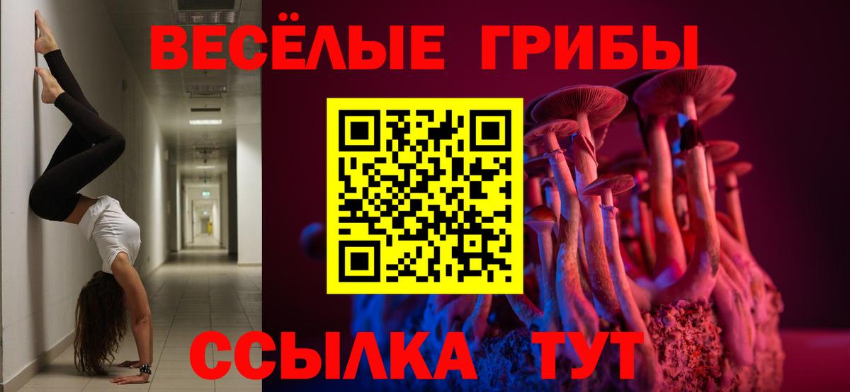 дарнет шоп  Псилоцибиновые грибы Cubensis  Вход с VPN  Каспийск 